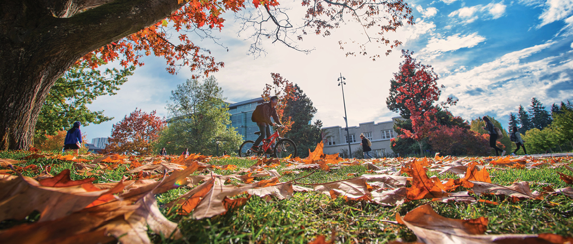 Cyclist riding across fall leaves on campus