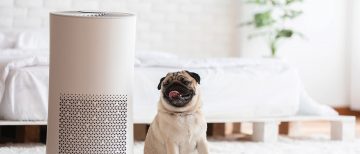 Media Mention: Dr. Steven Rogak discusses the efficacy of using air purifiers as another layer of protection against COVID-19 in indoor spaces. 